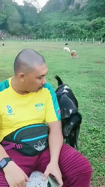 what are you asking?🤣🤣🤣#funny #funnyvideo #funnyvideos