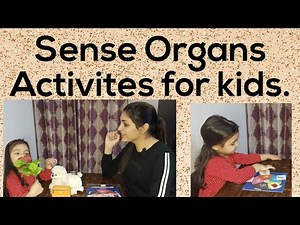 Sense Organs Activites for Kids/5 Sense organs & their functions/Human Sense Organs