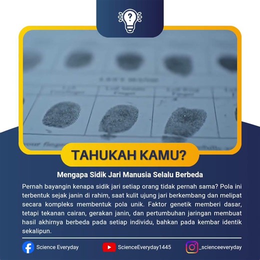 Mengapa Sidik Jari Setiap Manusia Berbeda?