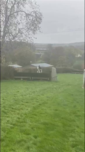 4.1K views · 48 reactions | Schooling Fridays ✅ horses gearing up and feeling well . Bally and Makety looking like pros 冀 The young horse Kaleb having his first school over big fences showing lots promise … Trev made it out of retirement to give him a lead he was some chuffed about the call up 勺 | Charlotte Rowe Eventing | Facebook