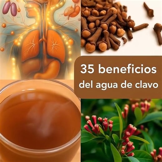 35 Beneficios Sorprendentes del Clavo Dulce: El Tesoro Aromático de la Naturaleza #CLAVODEOLOR #remedio#remediosnaturales | Carolyne Aquino