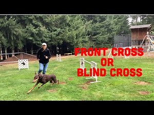 Dog Agility Class Learns Front Cross & Blind Cross