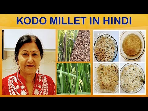 MILLETS /KODO MILLET -HEALTH BENEFITS NUTRITIONAL VALUE/ KODO MILLET RECIPES /SHRI ANNA /SHRIDHANYA