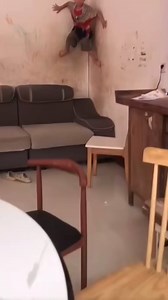 45K views · 132 reactions | Baby sitting gone wrong | Animal Stories | Facebook