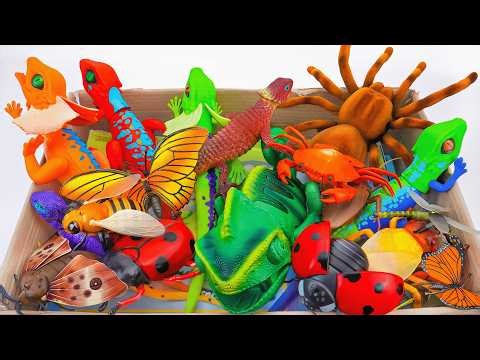 💛toy asmr💛 ZURU Robo Alive Remote Control Crawling Spider And Cockroach Toys ASMR ✨ No talking 🔇