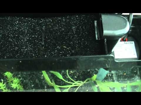 My Ecostyle filter setup