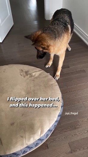 4.9M views · 99K reactions | An example of poor communication. I...