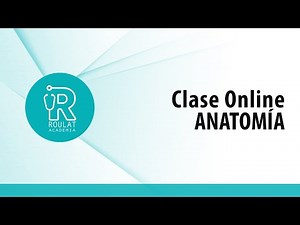 Anatomía de Esófago