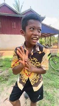 Close-Up Footage of Roosters, Birds, and Forest Animals in [Your Location] (4K) 🐔🐺