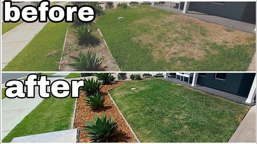 Low Budget, Big Change - Front Yard Makeover Magic