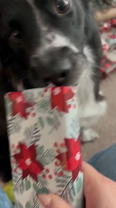 20 reactions · 12 comments | When it comes to owning a pet, there are expenses that people often fur-get. To help you prepare, our four-legged employees are taking over to share some hidden pet expenses!  Celebrate #NationalDogDay with us and share a photo of your furry friend below!  | RBFCU | Facebook