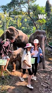 When Elephants Choose Humans as Their Besties | Watercooler