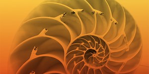 Information for applying to the Marsden Fund