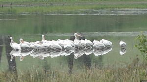 ‘Absolutely some risk’: Despite recent rains, southeast Nebraska lakes still face extremely low water levels
