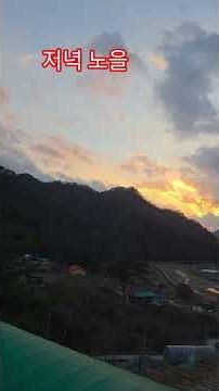 저녀노을을 바라보며#정선아지매#정선5일장#자연산상황버섯