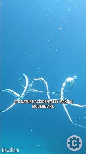 The Most Mesmerizing Bubble Ring Experiment