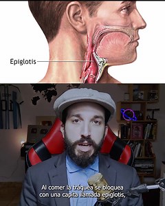 2000 datos locos que no sabías (compilado 2) | Esto No Lo Sabías