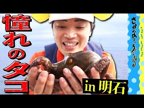 [Octopoda Hunting] To the Akashi sea!!