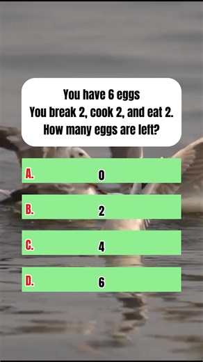 You have 6 eggs. You break 2, cook 2, and eat 2. How many eggs are left? #BrainQuiz #MindChallenge #QuizTime #FunFacts #SmartTest #TriviaReel #GuessTheAnswer #DidYouKnow #KnowledgeBoost #ThinkFast | Mind Twist