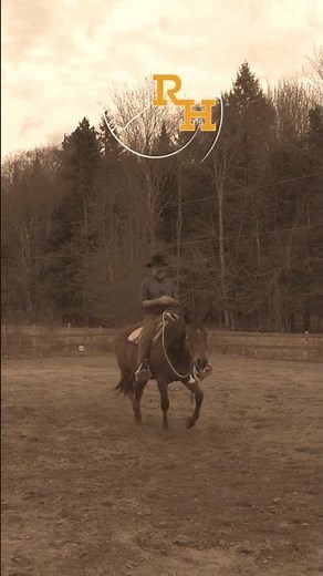 Learn to Easily Stop Your Horse Using Your Seat and Balance