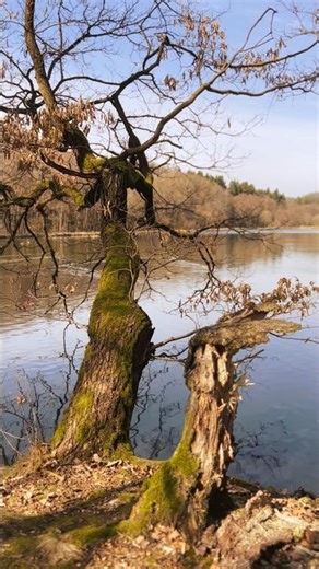 Jevany 🇨🇿 #neseddoma #adventure #iphonephotography #family #jevany