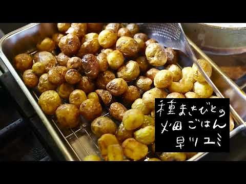 新じゃが小芋の素揚げ／畑ごはん／種まきびとの台所／早川ユミ