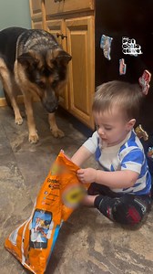 When play time and snack time get double booked! 🤣🍟🐶 (Via - Krystyna A.) | The Pet Collective