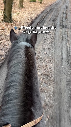 Discover the Joy of Pony Love: Heartwarming Moments with Horses