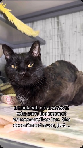 96K views · 7.8K reactions | The snow begins to fall over New York...