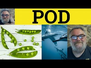 🔵 Pod Meaning - Pod Examples - Pod Definition - 3 Letter Words You Didn't Know - Pod Explanation