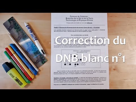 Correction explicite du premier brevet blanc de l'année en SVT 🎓✏️