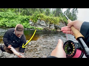 Fly Fishing Small Streams for Atlantic Salmon & Brook Trout ! - ( Newfoundland !)
