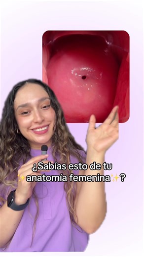 ¿Qué es el Cérvix? Aprende sobre Anatomía Femenina