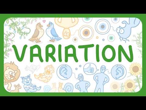 KS3 Biology - Variation