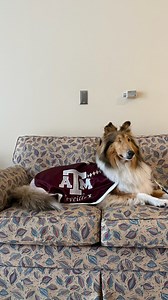 Today I got to visit a nursing home! Basically it's like my dorm, except the people here give me a lot more treats. 😉