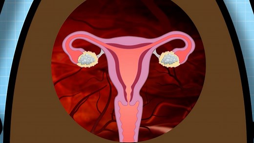 PSHE KS2: Operation Ouch! How are babies made? Sex