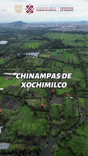 Descubre la magia de las chinampas de Xochimilco, un sistema agrícola único en el mundo, donde se producen verduras frescas como lechuga, espinaca, y cilantro. ¡Tradición ancestral y un sistema de producción alimentaria sostenible en la CDMX! 🚤🍃 #turismorural #consumelocal #tradicionaes #TurismoCDMX | Secretaría de Turismo de la Ciudad de México