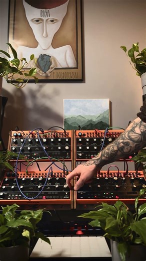 Behringer Crave x4. Ambient session. Analog synthesizer layers & random modulation #analogsynth