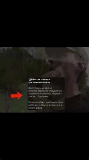 #борщевик #фраметамер | Berserker Transformers