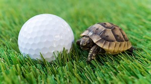 Does slow play cause higher scores? This data suggests it might
