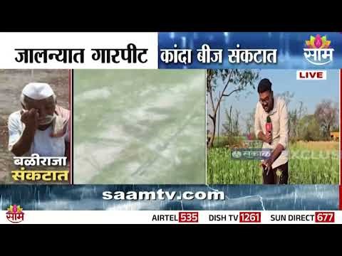 जालन्यात गारपिटीमुळे कांदा बीजाचं नुकसान | jalna Rain | Onion Crop Damage