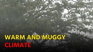 41K views · 524 reactions | As Monsoons Ease Up, Climate to Remain Warm and Muggy || GOA365 TV | Goa365 TV | Facebook