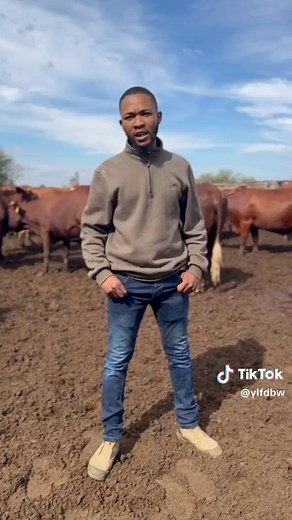 Livestock Farming: Empowering the Youth in Botswana
