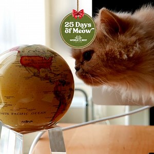 2.7K views · 147 reactions | And now for the grand finale… For 퐃퐀퐘...