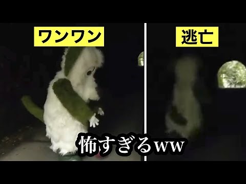 [Broadcast Accident] Explanation of the Wanwan Tunnel Incident