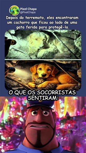 ELE ESCOLHEU FICAR 🐕🐈‍⬛🥀