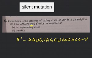 [Solved] Given below is the sequence of coding strand of DNA in... | Filo