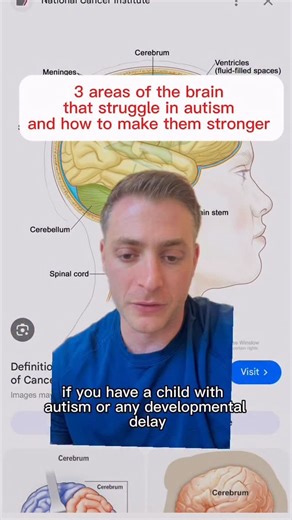 Dr. Conner Bor DC, DACNB on Instagram: "The brain runs everything. Everything from thinking to balance, coordination, focus, behavior, emotions, even how your child feels their body in space. So when we only look at the outward symptoms then we miss the real driver of how someone’s body feels. If the brain up and improve integration neurologically,, and a lot of those symptoms start to calm down. Three areas I look at all the time in clinic: the cerebellum for balance and coordination, the prefr