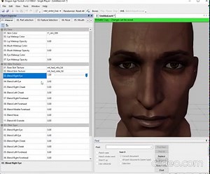 Dragon Age 2 Character Creator Toolset