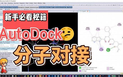 基于Autodock软件进行分子对接的环境配置及具体操作操作流程!